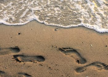 Краснодарцы вывезли более 11 тысяч кубометров загрязненного песка с Анапы