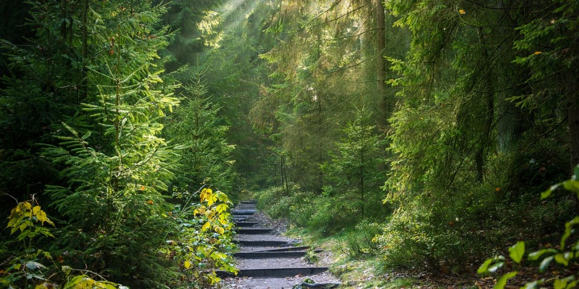 Пожароопасный сезон стартовал на Кубани: что изменится для жителей