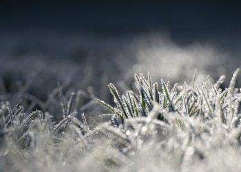 Аномальный холод заставит вырасти сугробы в Сочи