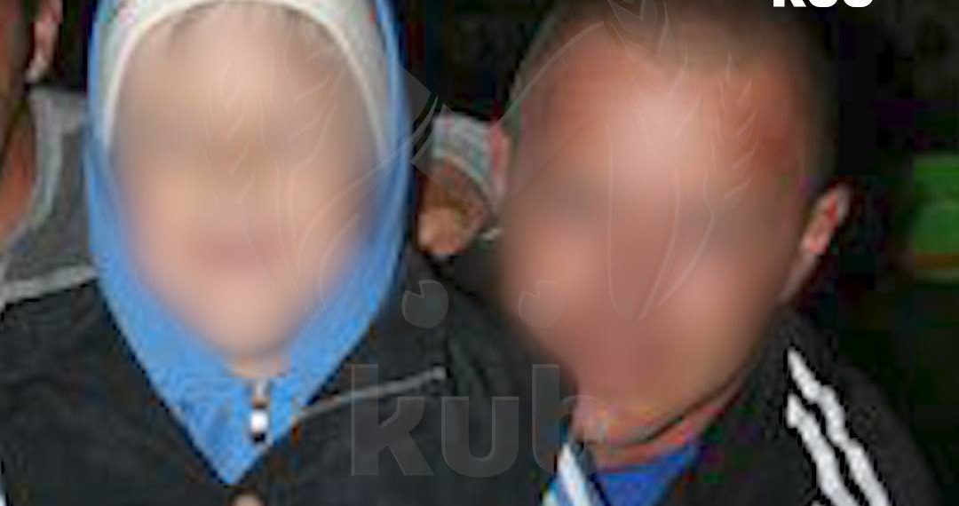 Администрация Сочи прокомментировала нападение собак на ребенка в СНТ