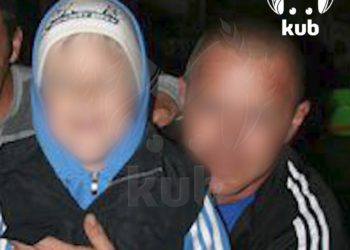 Администрация Сочи прокомментировала нападение собак на ребенка в СНТ