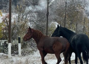 Синоптики удивили прогнозом на первую половину февраля в Краснодарском крае