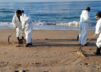 С кубанского побережья вывезли 178 тысяч тонн загрязненного песка и грунта