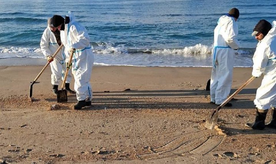 С кубанского побережья вывезли 178 тысяч тонн загрязненного песка и грунта