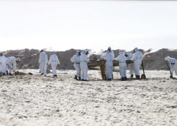 В Краснодарском крае обнаружили новые выбросы мазута