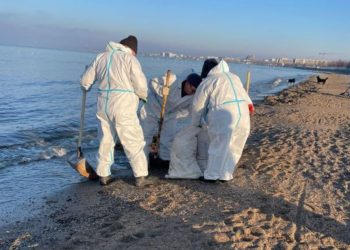 В Анапе зафиксировали повторные выбросы мазута 8 февраля