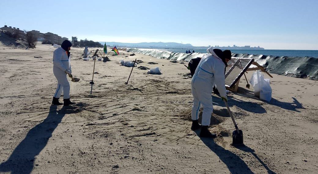В Краснодарском крае обнаружили новые выбросы мазута