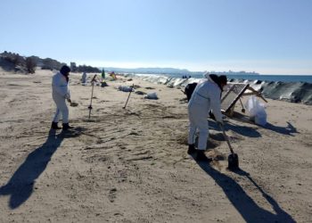 В Краснодарском крае обнаружили новые выбросы мазута