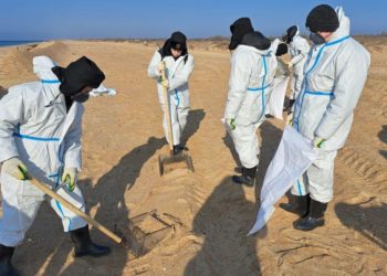 В Краснодарском крае вывезли более 184 тысяч тонн загрязненного грунта