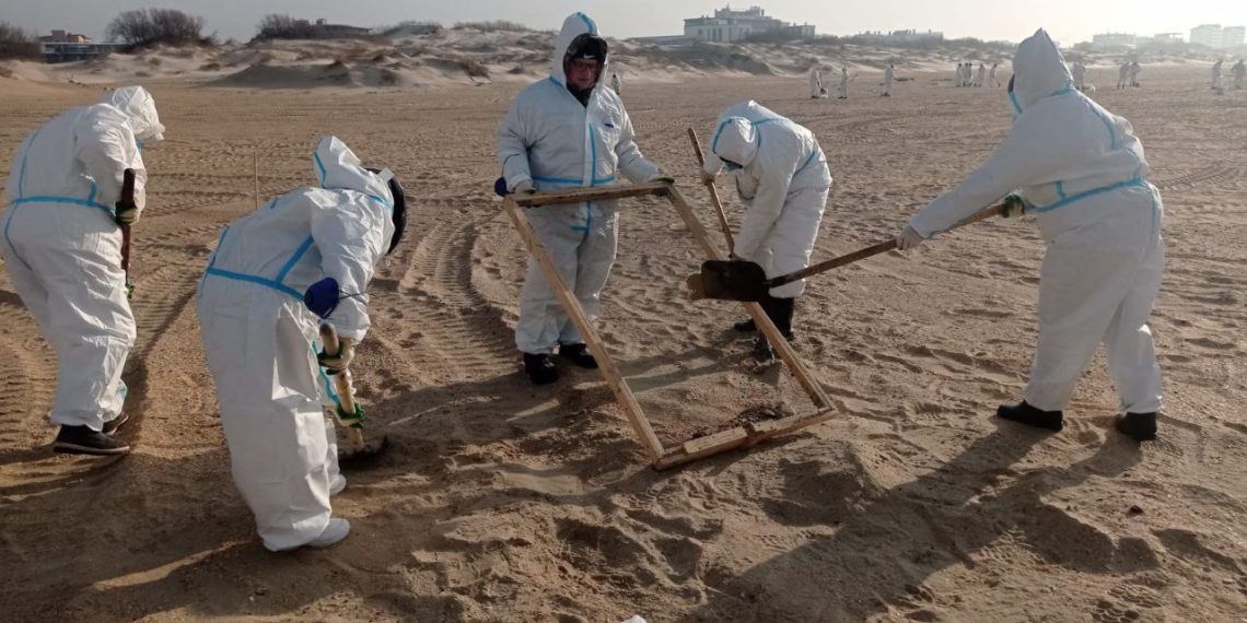 В Краснодарском крае вывезли более 184 тысяч тонн загрязненного мазутом грунта