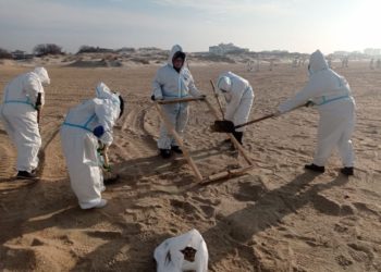 В Краснодарском крае вывезли более 184 тысяч тонн загрязненного мазутом грунта