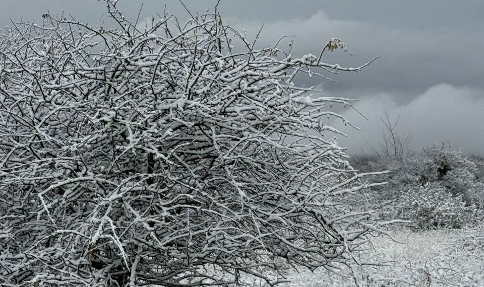 “Придется ежиться”: стали известны самые холодные дни на новой неделе на Кубани