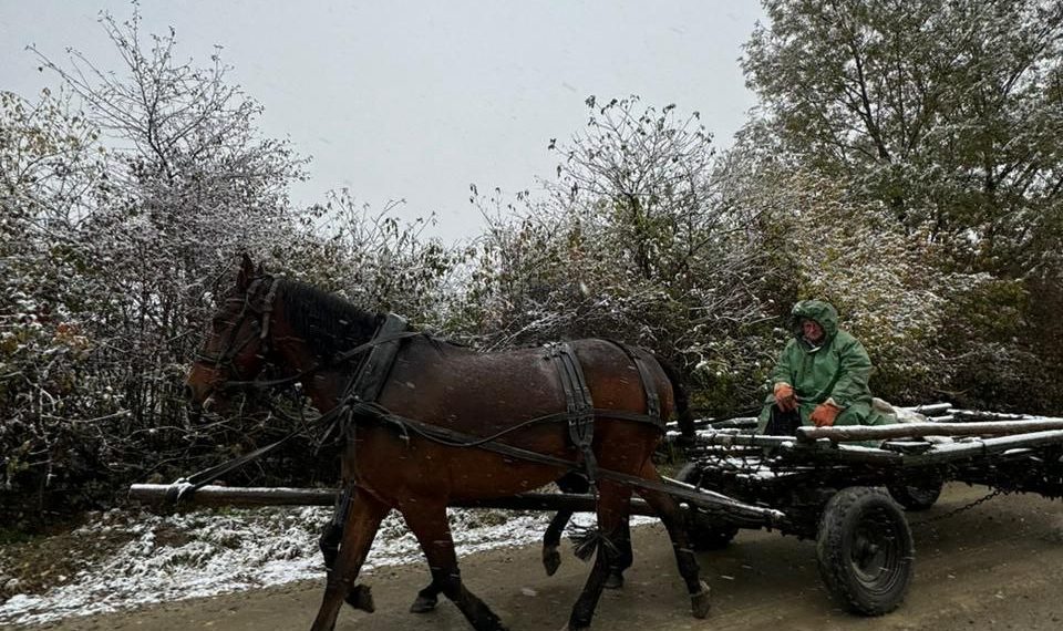 Февраль на Кубани станет полной противоположностью по-весеннему теплому январю