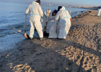 С начала работы колл-центр «Спасай море» принял свыше 2800 звонков