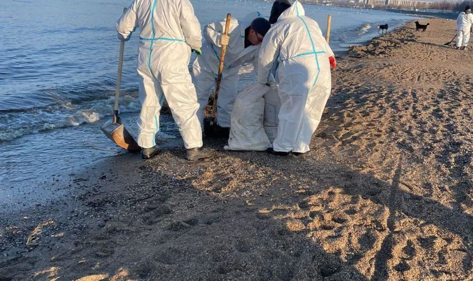 С начала работы колл-центр «Спасай море» принял свыше 2800 звонков