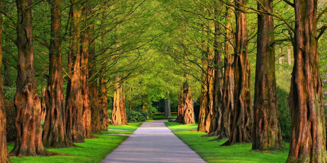В парке Галицкого в Краснодаре посетитель избил светящегося пингвина