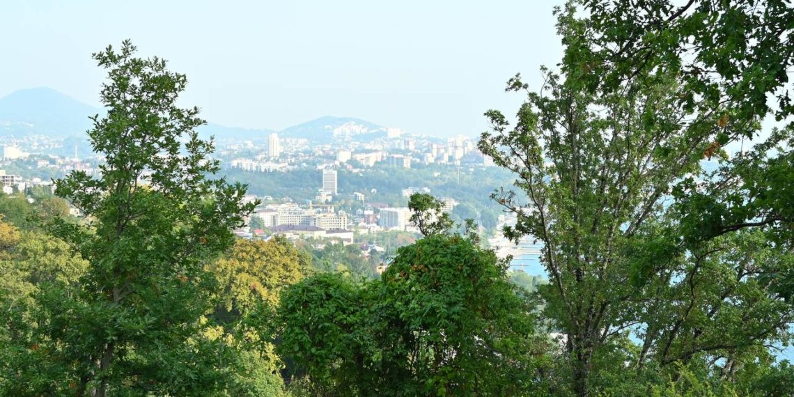 Жителя Сочи задержали за попытку захвата государственной земли в Дагомысе