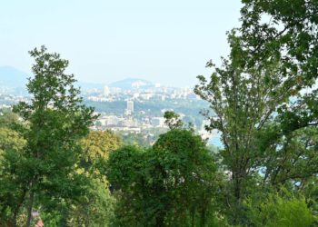 Жителя Сочи задержали за попытку захвата государственной земли в Дагомысе