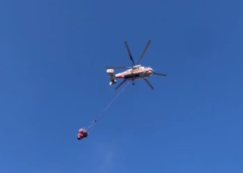 В Сочи ликвидировали лесной пожар площадью 11 гектар