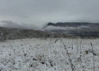 Известен самый морозный день на неделе с 17 по 23 февраля на Кубани