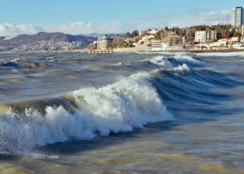 Сочи признали самыми романтичным городом для путешествий по России