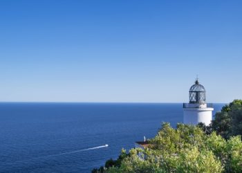 Морская вода в Сочи остается чистой