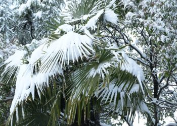 На Кубани зафиксирован самый холодный февраль за последние 13 лет
