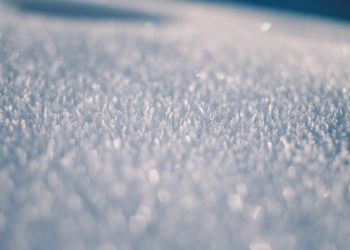 Спасатели предупредили о тонком опасном льде на Ейском лимане