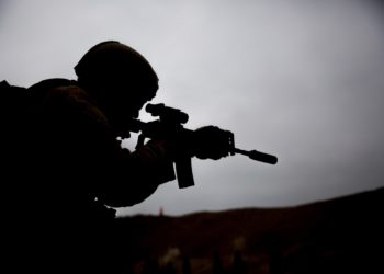 Стало известно, как отпразднуют 23 февраля в Сочи