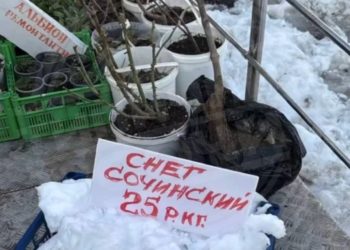 Срочно! В Сочи началась снежная лихорадка: снег продают на вес, ажиотаж растёт!
