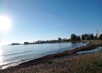 Суд приостановил дело о взыскании ущерба за пожар в заповеднике «Утриш»