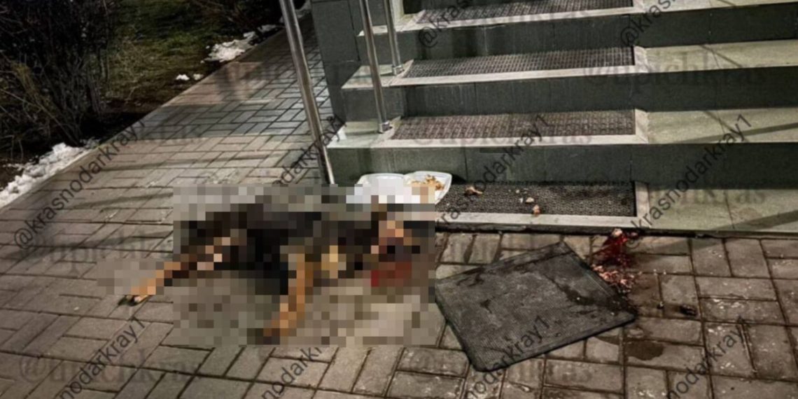 В Краснодаре обнаружена погибшая собака: жители подозревают отравление