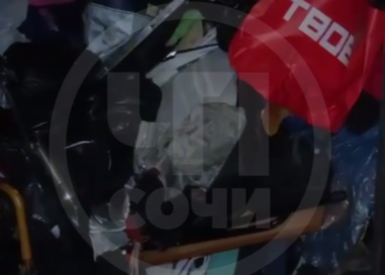 В Сочи мадам Плюшкина превратила жилье в рассадник антисанитарии