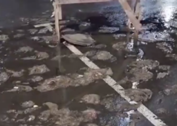 В Краснодаре жители ЖК из-за фекального апокалипсиса готовятся к эвакуации