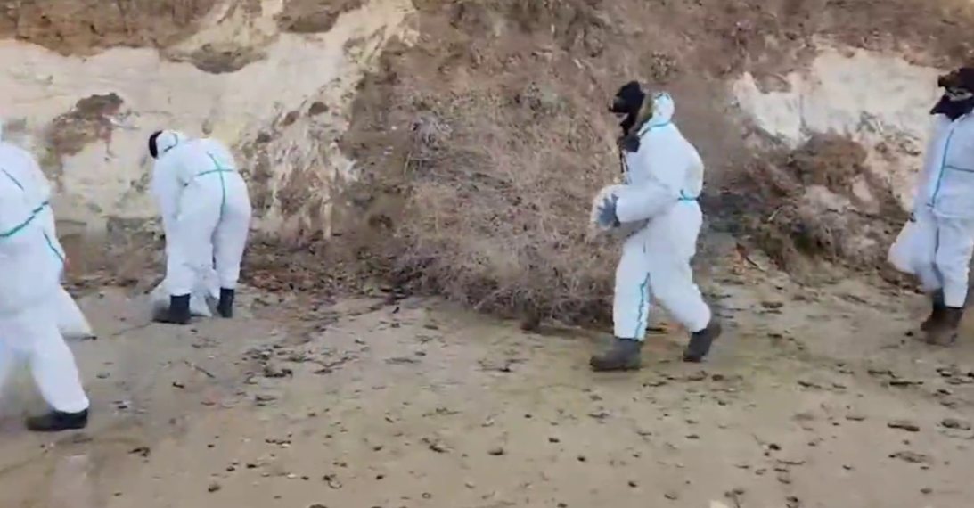 312 мешков с нефтепродуктами собрали сотрудники МЧС России на пляжах Кубани