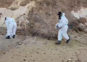 312 мешков с нефтепродуктами собрали сотрудники МЧС России на пляжах Кубани