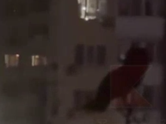 Сова спасается в жилом районе Краснодара после пожара в лесопарке