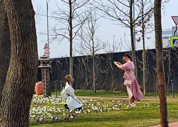 В Краснодаре в парке Галицкого ради эффектных фото посетители топчут крокусы