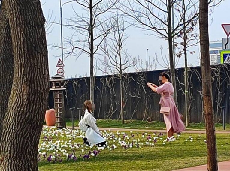 В Краснодаре в парке Галицкого ради эффектных фото посетители топчут крокусы