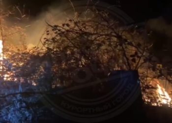 Стало известно, что горит на Барановском кладбище в Сочи