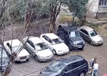 В Сочи две девушки бросили на улице собаку-инвалида, оставив её на верную гибель