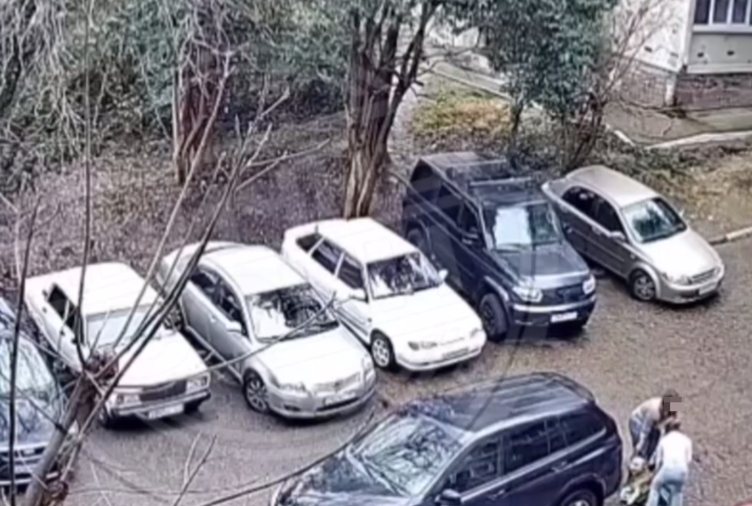 В Сочи две девушки бросили на улице собаку-инвалида, оставив её на верную гибель