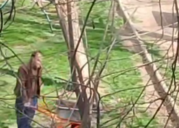 Краснодарский «археолог» добыл уникальный грунт для своей коллекции