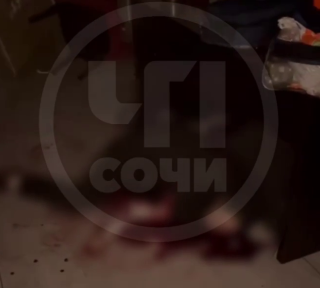 Появилось видео с места убийства в сочинском поселке Дагомыс в стиле лихих 90-х