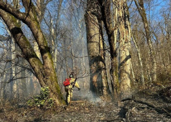 В Сочи введен особый противопожарный режим после череды пожаров