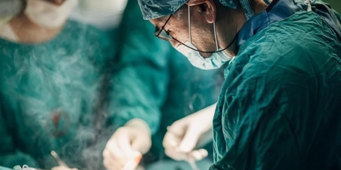 Раненый мальчик из Сочи утешал отца после нападения собак