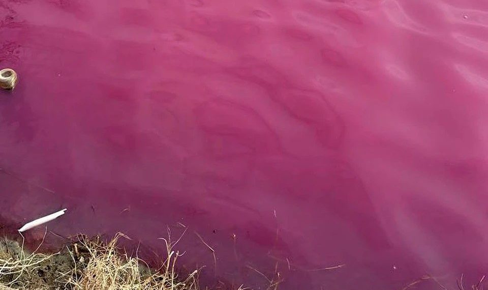 Бастрыкин поручил разобраться с загадочным розовым озером в Краснодаре