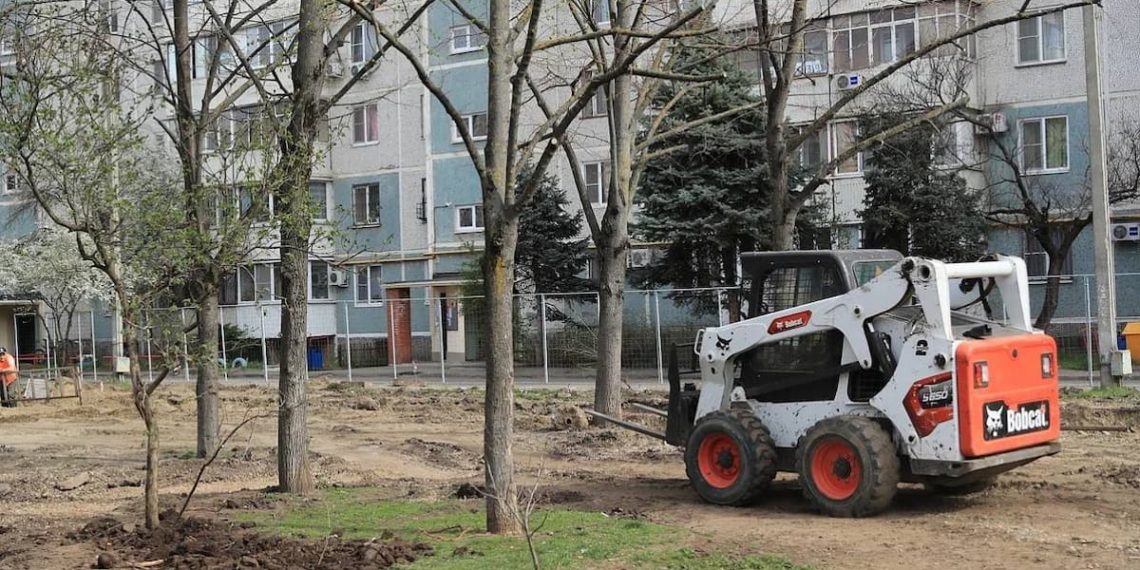В Краснодаре пообещали сохранить все деревья в сквере им. Чепеги