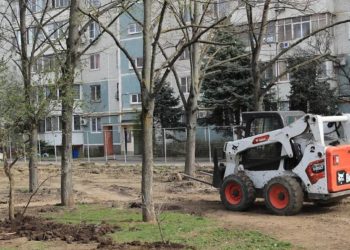В Краснодаре пообещали сохранить все деревья в сквере им. Чепеги