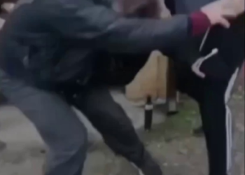 В Краснодаре дачники избили председателя СНТ и захватили здание правления